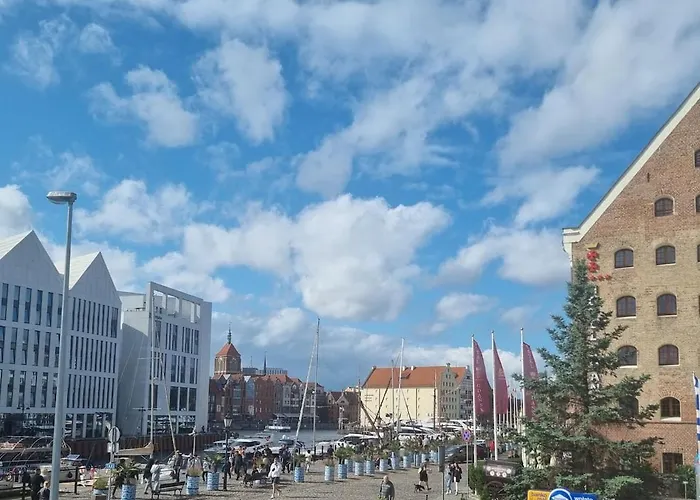 Mieszkanie W Centrum Miasta.